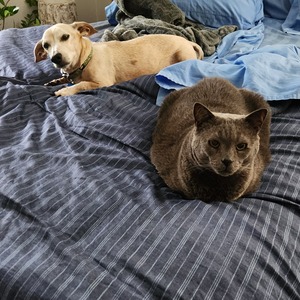 Fundraising Page: James Hurst